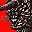 Animal Image